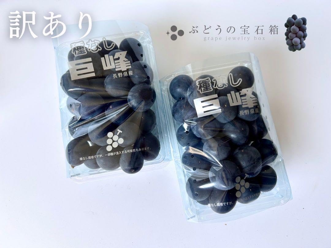 surf rodz TKP 159mm リップタイド、ビス、ライザーパッド付 Surf-rodz サーフロッズ tkp 159 リップタイド サーフロッズ TKP